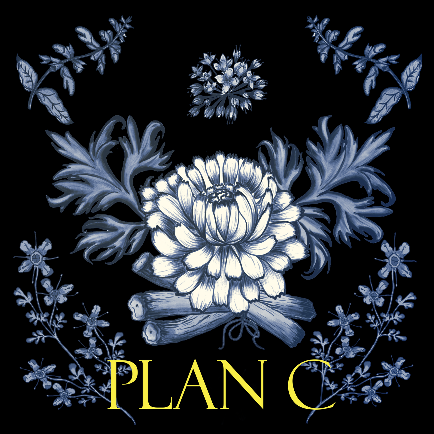 Plan C Punk Sweatshirt